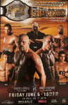 UFC 43